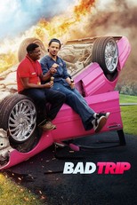 Bad Trip (2020)