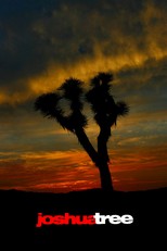 Joshua Tree (1993)