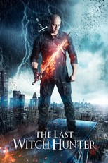 The Last Witch Hunter (2015)