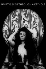 What Happened to the Inquisitive Janitor (1901)