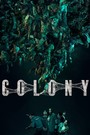 Colony