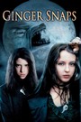 Ginger Snaps