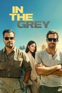 In the Grey