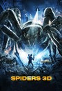 Spiders