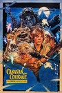 The Ewok Adventure
