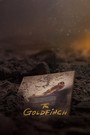 The Goldfinch