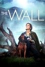 The Wall